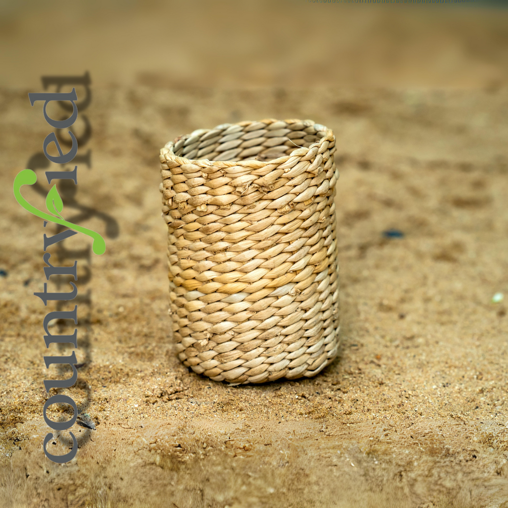 Banana Fibre Pen Stand