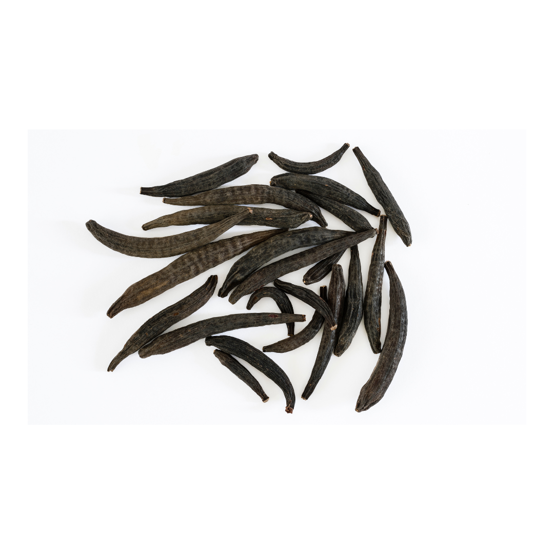 Kapok Buds | Marathi Moggu
