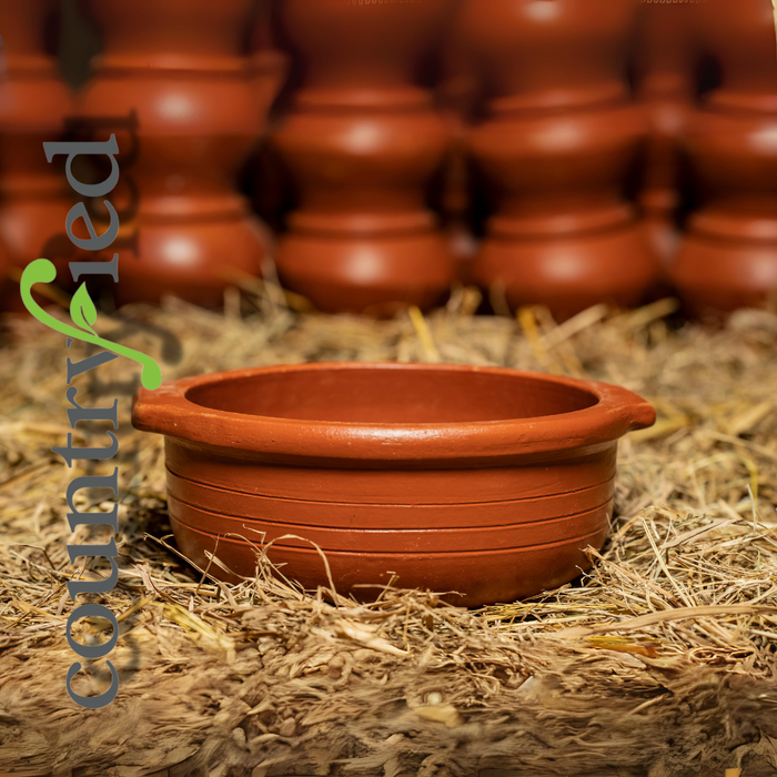 Red Cooking Pot