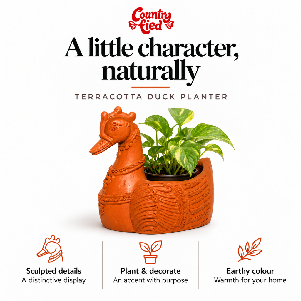 Terracotta Duck Planter — benefits