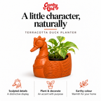 Terracotta Duck Planter — benefits