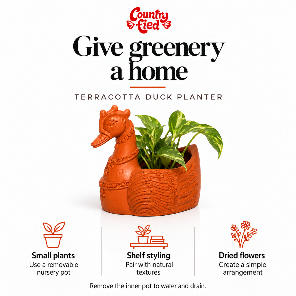 Terracotta Duck Planter — use-cases