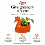 Terracotta Duck Planter — use-cases